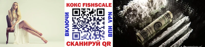 Cocaine Fish Scale  Купить закладки  Баймак 
