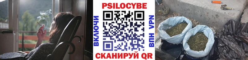 Псилоцибиновые грибы Magic Shrooms  Купить закладки  Баймак 